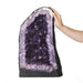 A-Grade Amethyst Geode - 23.78kg - Crystal Geode - Divine Decor Co.