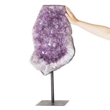 Amethyst Druze Cluster on Metal Stand - 19.20kg - Stands - Divine Decor Co.