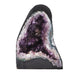 Amethyst Geode - 11.72kg - Crystal Geode - Divine Decor Co.