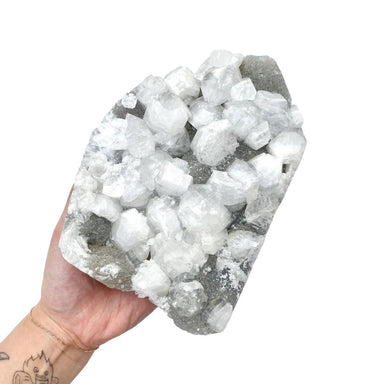 Apophyllite Cluster - 1.4kg - Divine Decor Co.