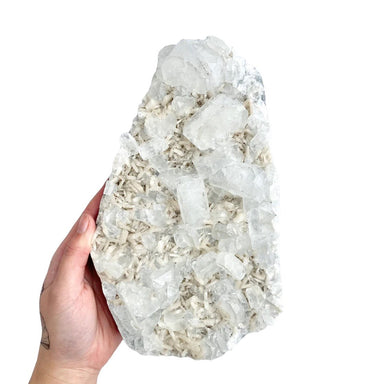 Apophyllite Cluster - 1.9kg - Divine Decor Co.