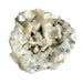 Apophyllite Cluster - 2.14kg - Divine Decor Co.