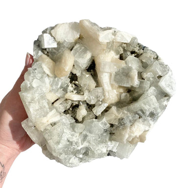 Apophyllite Cluster - 2.14kg - Divine Decor Co.