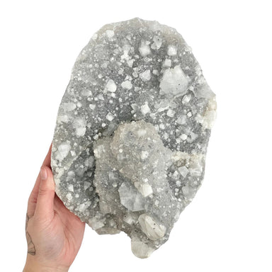 Apophyllite Cluster - 4.1kg - Divine Decor Co.